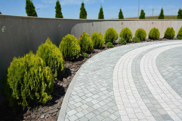 Best Interlocking Driveway Pavers  in Iola, WI