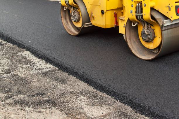 Best Local Driveway Pavers  in Iola, WI